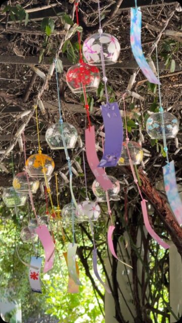 La rencontre des Furin et des cigales. Pas de doute, nous sommes l’été au Japon 🤗

Rendez vous pendant tout le week end à la Maison des Relations Internationales Nelson Mandela pour une immersion dans les traditions japonaises en été 🌻

On vous attend! 

Merci @estelleabk6 pour la vidéo 🌸

風霖と蝉の出会い。まさに日本の夏到来ですね🤗

週末はネルソン・マンデラ国際関係センターで、日本の夏の伝統に浸るイベントを開催します🌻

皆様のお越しをお待ちしております！

#montpellier #nishikijapan #traditionsjaponaises #maisondesrelationsinternationales